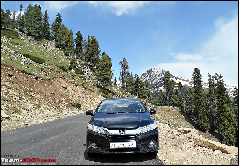 Honda City i-DTEC: 5300 kms in 13 days! A family road-trip to the Vale of Kashmir!-dscn6385.jpg