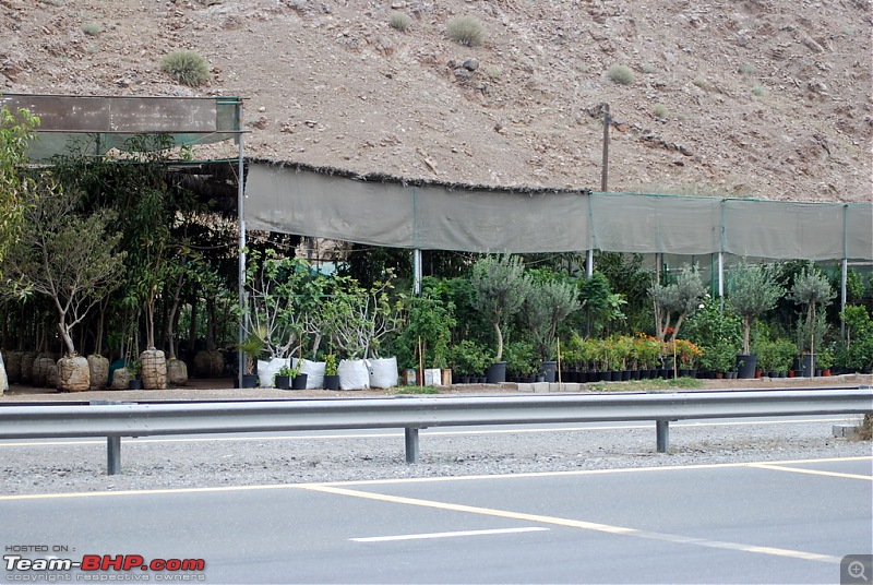 Images from my Fujairah & Oman trip-dsc_0031.jpg