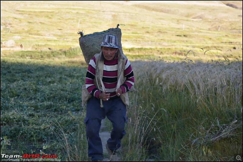 The rarefied air of a high altitude cold desert - Spiti Valley on Motorcycles-dsc_0298.jpg