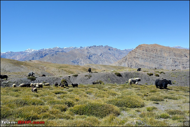 The rarefied air of a high altitude cold desert - Spiti Valley on Motorcycles-dsc_0400.jpg