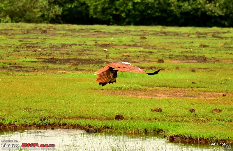 A Monsoon Solo: Kolhapur, Ganpatipule, Ratnagiri & beyond-1dsc_9773.jpg