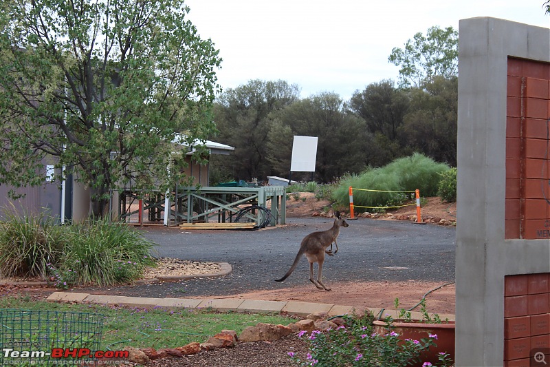 Our venture at exploring the Australian Outback-img_1341.jpg