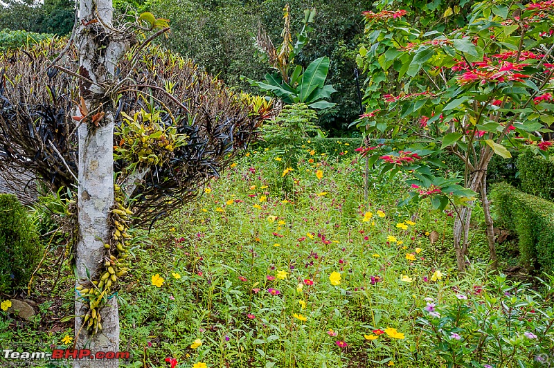 A drive through some of the Wildlife Sanctuaries in the Western Ghats-mr2_3061.jpg