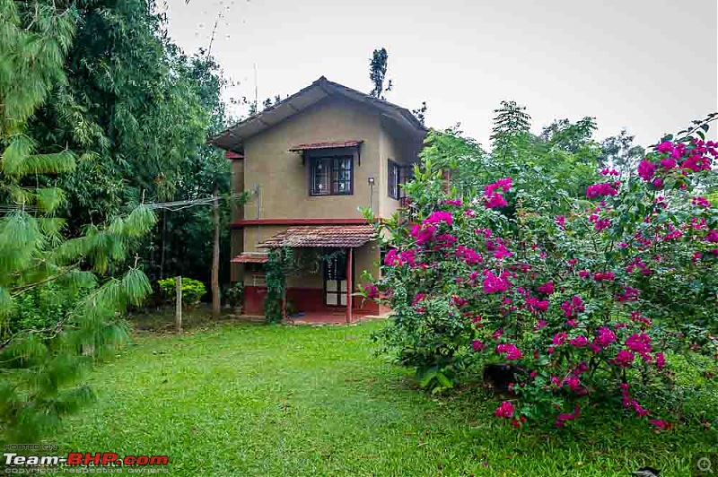 A drive through some of the Wildlife Sanctuaries in the Western Ghats-mr2_3552.jpg