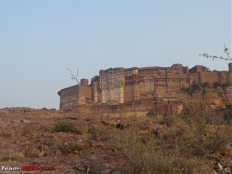 Forts, Palaces, Wildlife and more - 9,500 kms across South, West and North India-dsc_1500-1280x960.jpg