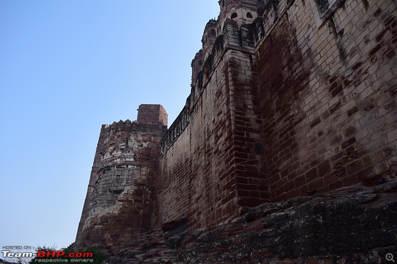 Forts, Palaces, Wildlife and more - 9,500 kms across South, West and North India-dsc_1512-1280x853.jpg