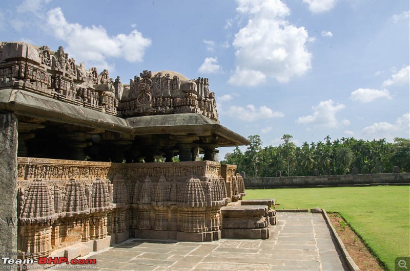 Wanderlust Traveller: River Tern Lodge, Bhadra & Amruthapura Temple (KA)-suh_4846.jpg