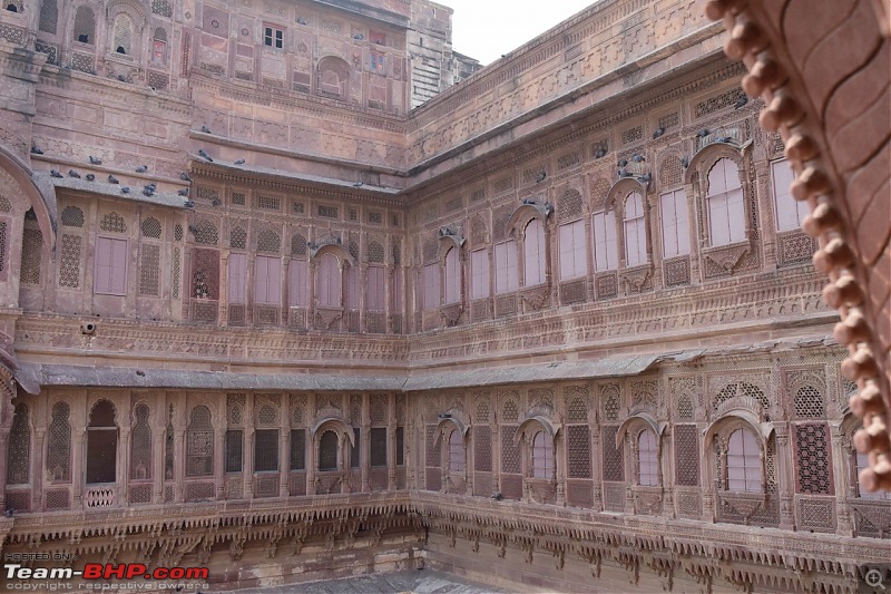 Forts, Palaces, Wildlife and more - 9,500 kms across South, West and North India-dsc_1710-1280x853.jpg
