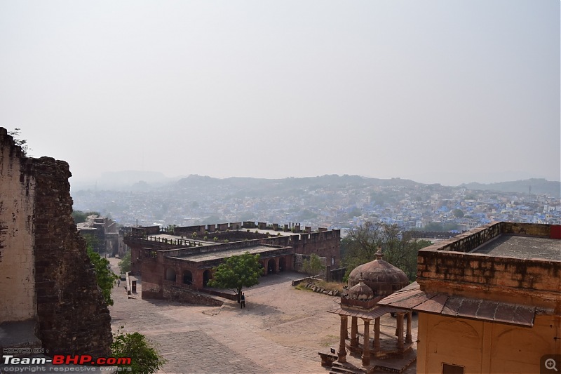 Forts, Palaces, Wildlife and more - 9,500 kms across South, West and North India-dsc_1777-1280x853.jpg
