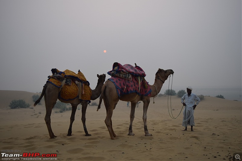 Forts, Palaces, Wildlife and more - 9,500 kms across South, West and North India-dsc_2041-1280x853.jpg