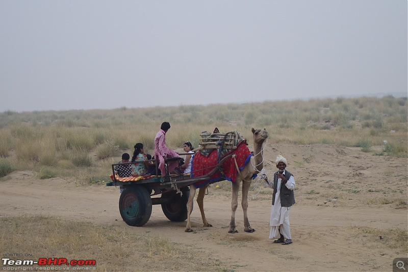Forts, Palaces, Wildlife and more - 9,500 kms across South, West and North India-dsc_2278-1280x853.jpg