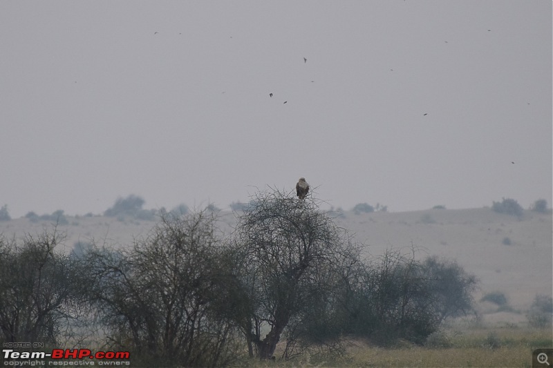 Forts, Palaces, Wildlife and more - 9,500 kms across South, West and North India-dsc_2597-1280x852.jpg