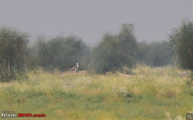 Forts, Palaces, Wildlife and more - 9,500 kms across South, West and North India-dsc_2987-1280x797.jpg