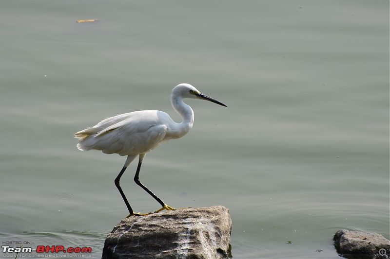 Forts, Palaces, Wildlife and more - 9,500 kms across South, West and North India-dsc_3705-1280x853.jpg