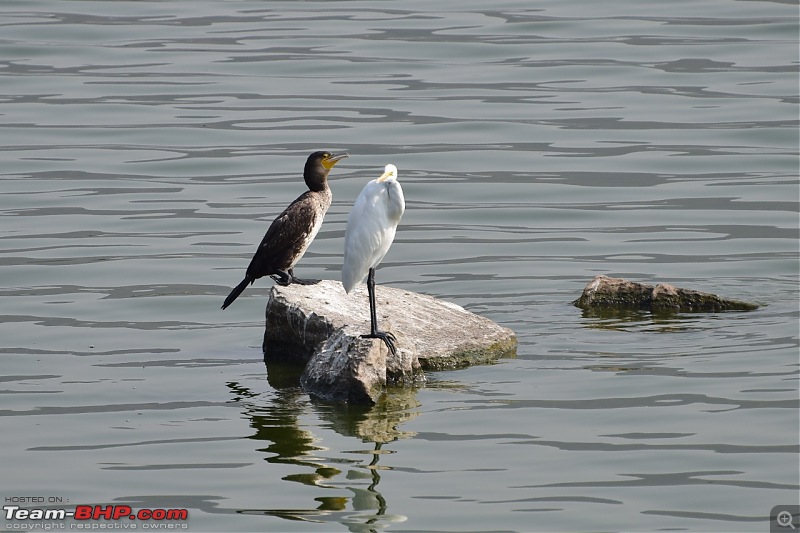 Forts, Palaces, Wildlife and more - 9,500 kms across South, West and North India-dsc_3708-1280x853.jpg