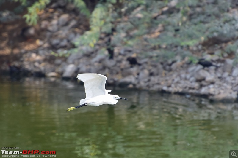 Forts, Palaces, Wildlife and more - 9,500 kms across South, West and North India-dsc_4270-1280x853.jpg