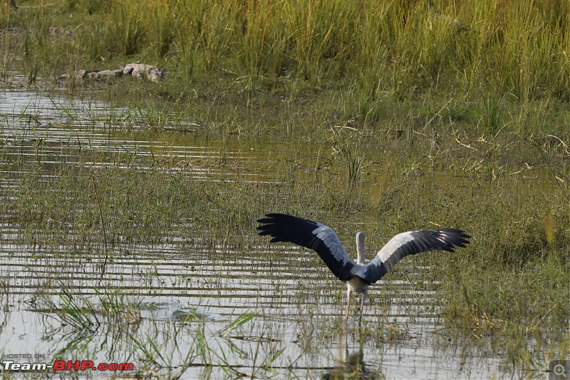 Forts, Palaces, Wildlife and more - 9,500 kms across South, West and North India-dsc_4852-1280x853.jpg