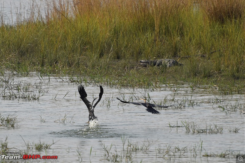 Forts, Palaces, Wildlife and more - 9,500 kms across South, West and North India-dsc_4875-1280x853.jpg