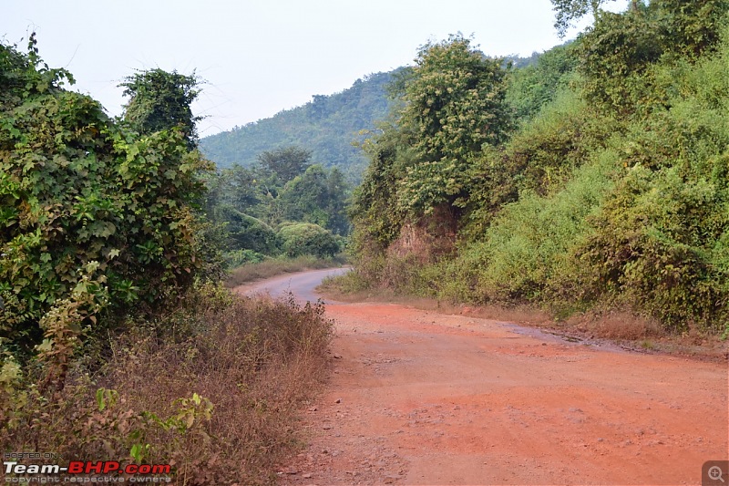 Forts, Palaces, Wildlife and more - 9,500 kms across South, West and North India-dsc_7777-1280x853.jpg