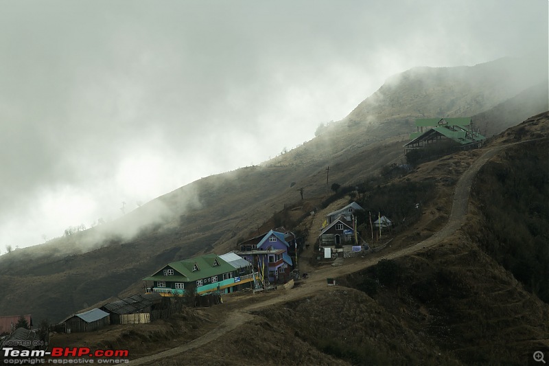 White Sandakphu - Our quiet New Year celebration-img_6281.jpg