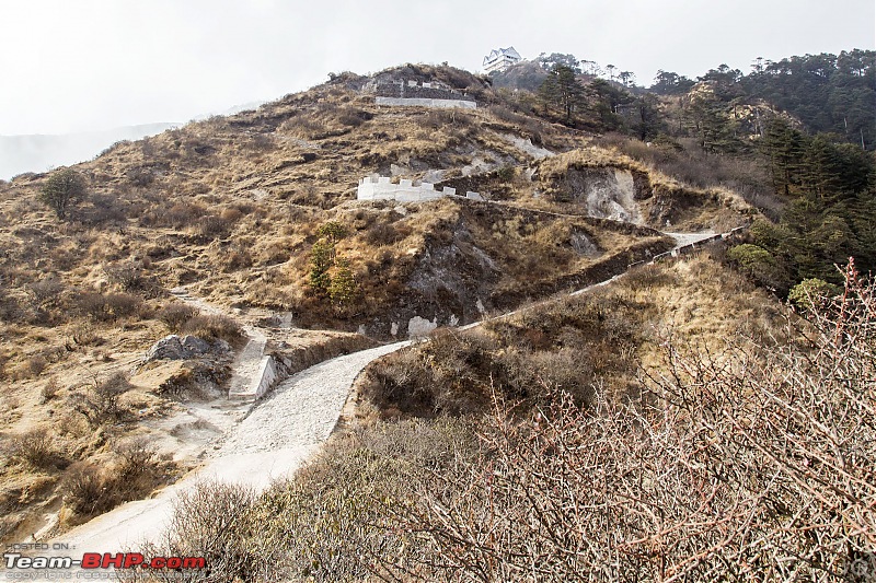 White Sandakphu - Our quiet New Year celebration-img_6289.jpg