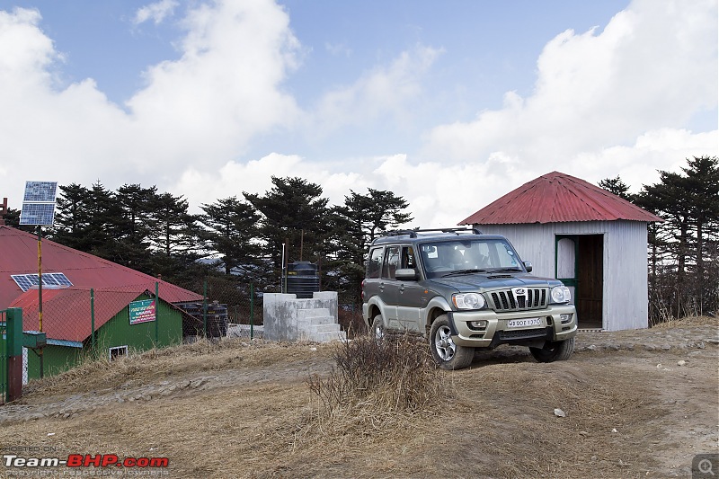 White Sandakphu - Our quiet New Year celebration-img_6297.jpg