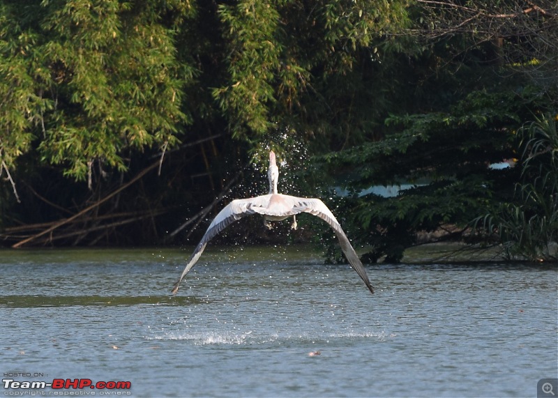 Forts, Palaces, Wildlife and more - 9,500 kms across South, West and North India-dsc_8577-1280x913.jpg