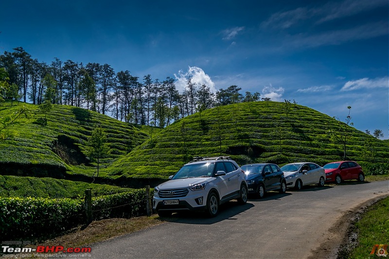 Cochin - Munnar - Kodaikanal-a25.jpg