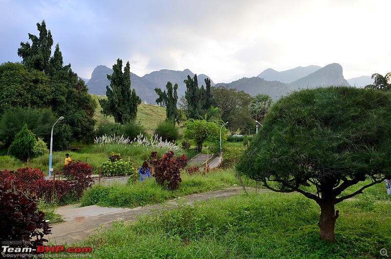 Ford Aspire visits Kerala : Traverses via a wildlife sanctuary, mountains, backwaters and a beach!-_dsc3245.jpg