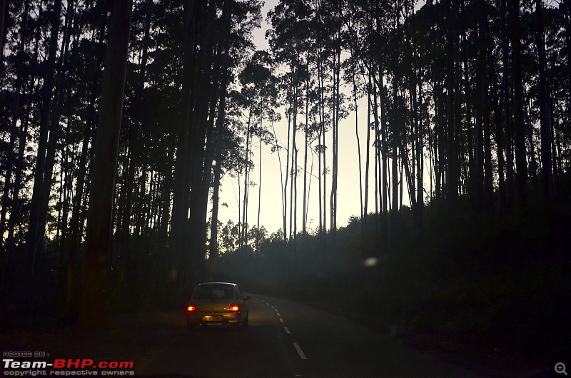 Ford Aspire visits Kerala : Traverses via a wildlife sanctuary, mountains, backwaters and a beach!-_dsc3800.jpg