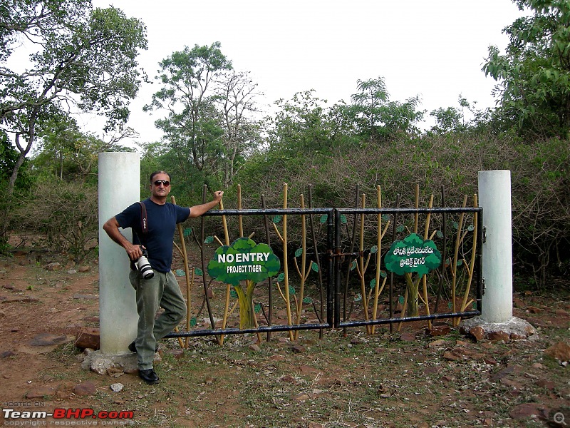 Weekend getaway in a forest-gate.jpg