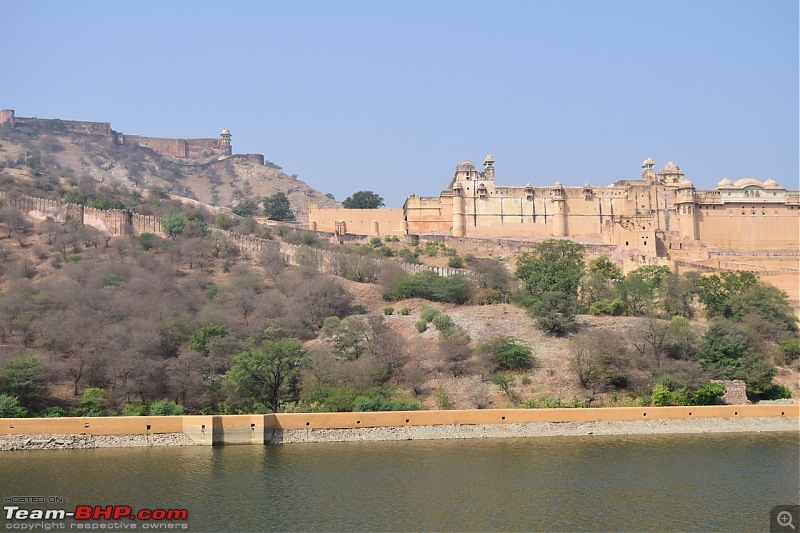 Forts, Palaces, Wildlife and more - 9,500 kms across South, West and North India-dsc_3567-1280x853.jpg