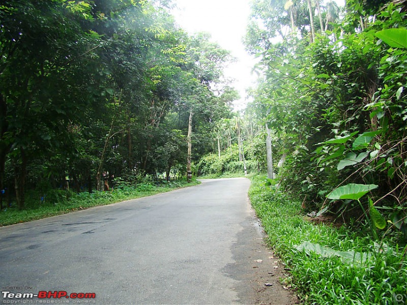 Vagamon heights - A surprise package-03erumelimundakkayamroute.jpg