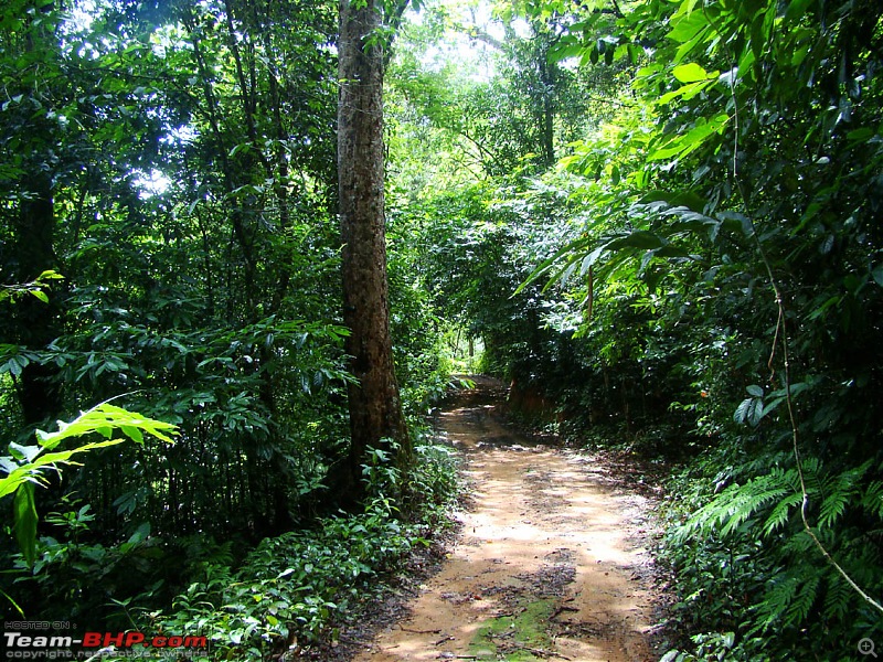 Vagamon heights - A surprise package-0703-road-resrt-dsc03825.jpg