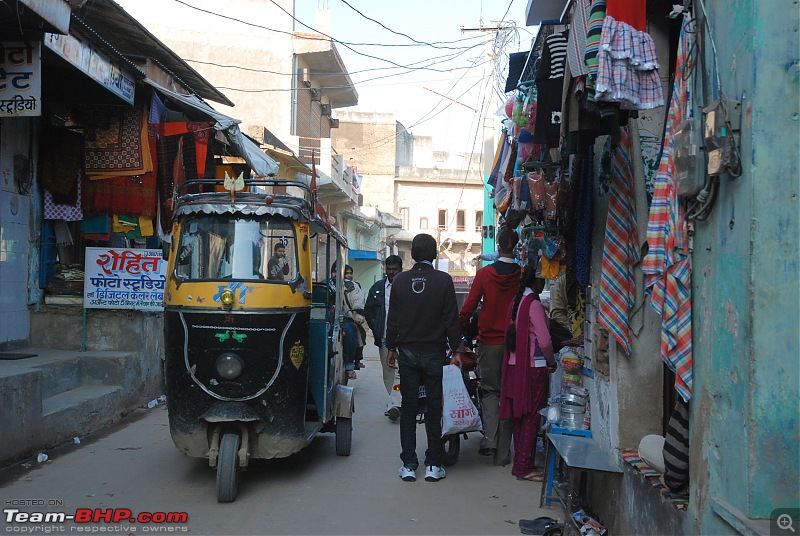 Exploring Royal Rajasthan in a 4WD Bolero (The White Tusker)-dsc_5220.jpg