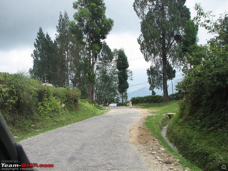 Along the Forgotten Trail- Silk Route-East Sikkim [Pedong-Rishi-Aritar-Zuluk-Jelepla]-img_3128.jpg