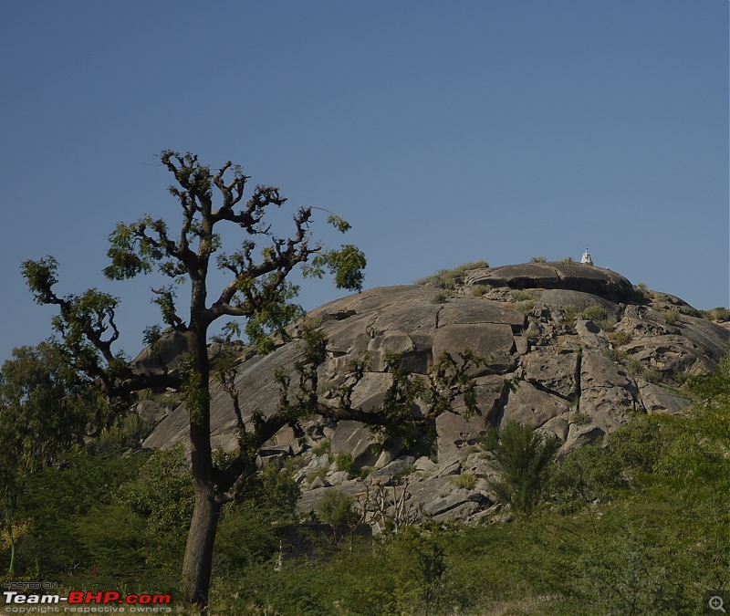 Exploring Royal Rajasthan in a 4WD Bolero (The White Tusker)-_dsc7191.jpg