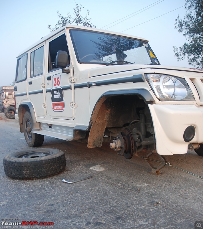 Exploring Royal Rajasthan in a 4WD Bolero (The White Tusker)-dsc_8141.jpg