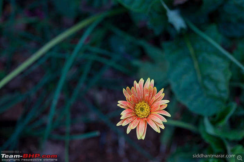 A road trip to Nashik with friends!-img_6681.jpg