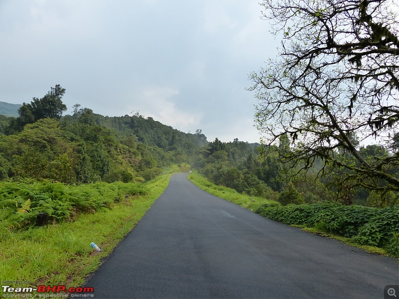 Pun-toured : The Beautiful Western Ghats-p1020152.jpg