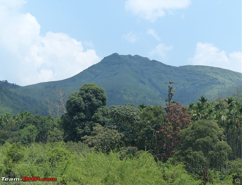 Pun-toured : The Beautiful Western Ghats-p1010985.jpg