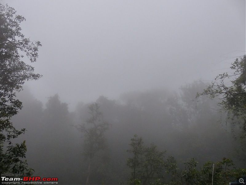 Pun-toured : The Beautiful Western Ghats-p1020588.jpg