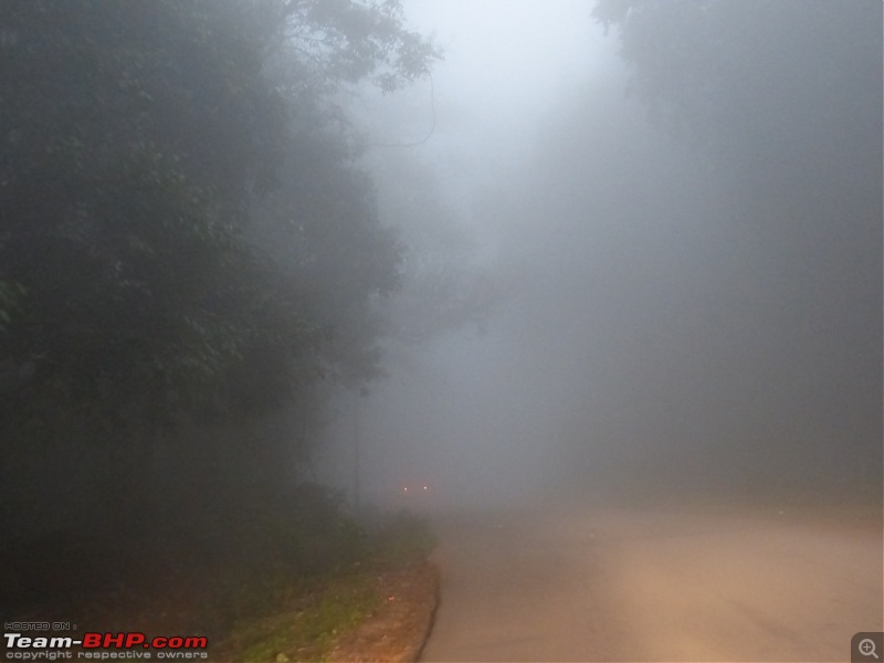 Pun-toured : The Beautiful Western Ghats-p1020626.jpg