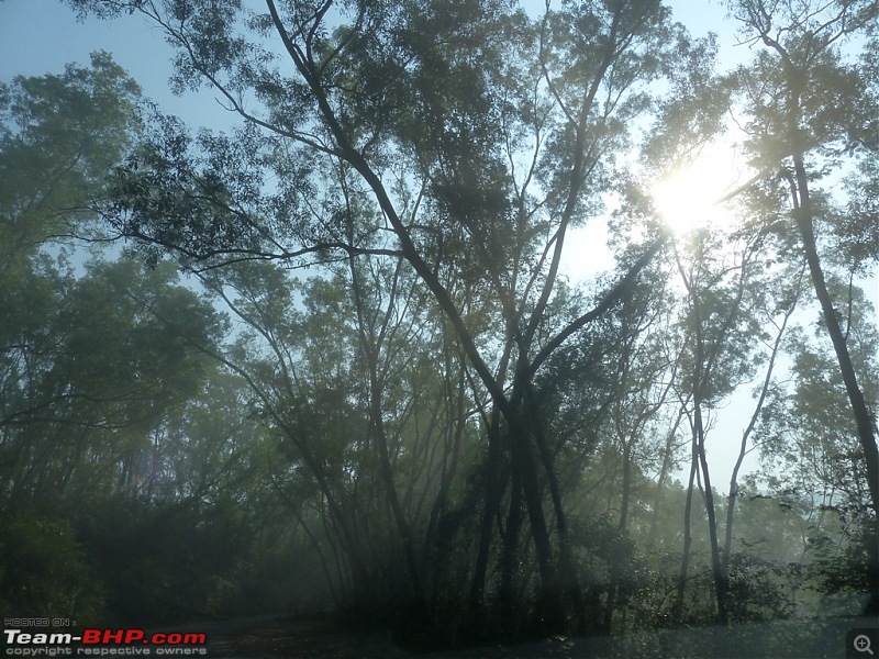 Pun-toured : The Beautiful Western Ghats-p1020681.jpg