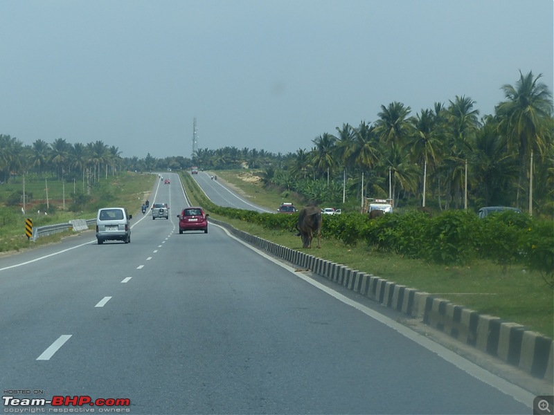 Pun-toured : The Beautiful Western Ghats-p1020736.jpg