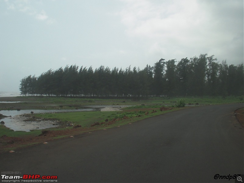 Sagari Mahamarg - Drive through the Coastal Route of Maharashtra-unmatched4.jpg