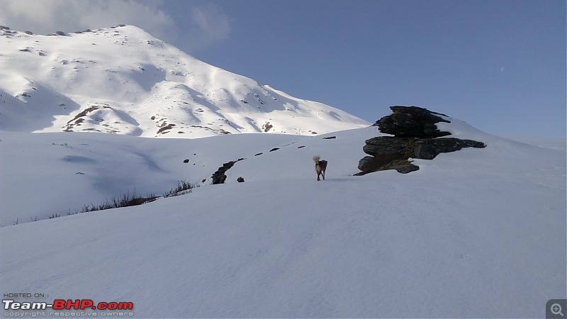 Unforgettable Winter Kedarkantha Trek / Drive to Sankri-13.jpg