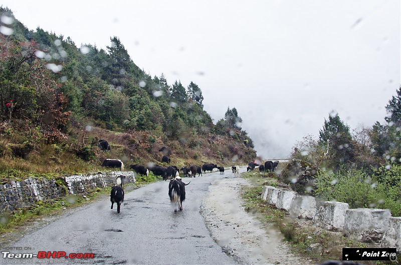 In a Mahindra Bolero to the Land of Happiness - Bhutan!-tkd_3719.jpg