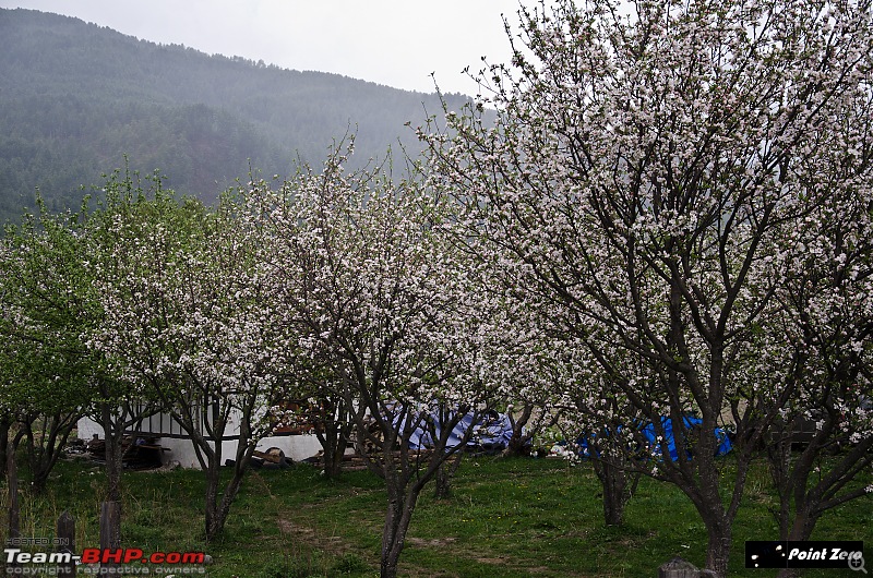 In a Mahindra Bolero to the Land of Happiness - Bhutan!-tkd_3975.jpg