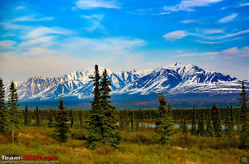 66 Degrees North: Roadtripping in Alaska-alaska-main-highway-sights8718.jpg